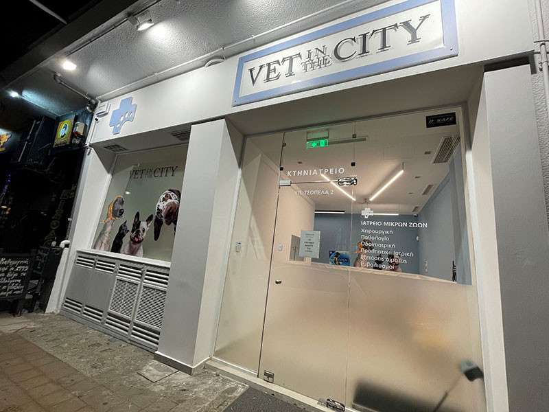 Vet in the city Ουαλά Χανταντίν | Υπολοχαγού Τσόπελα 2, Θεσσαλονίκη 546 21, Ελλάδα
