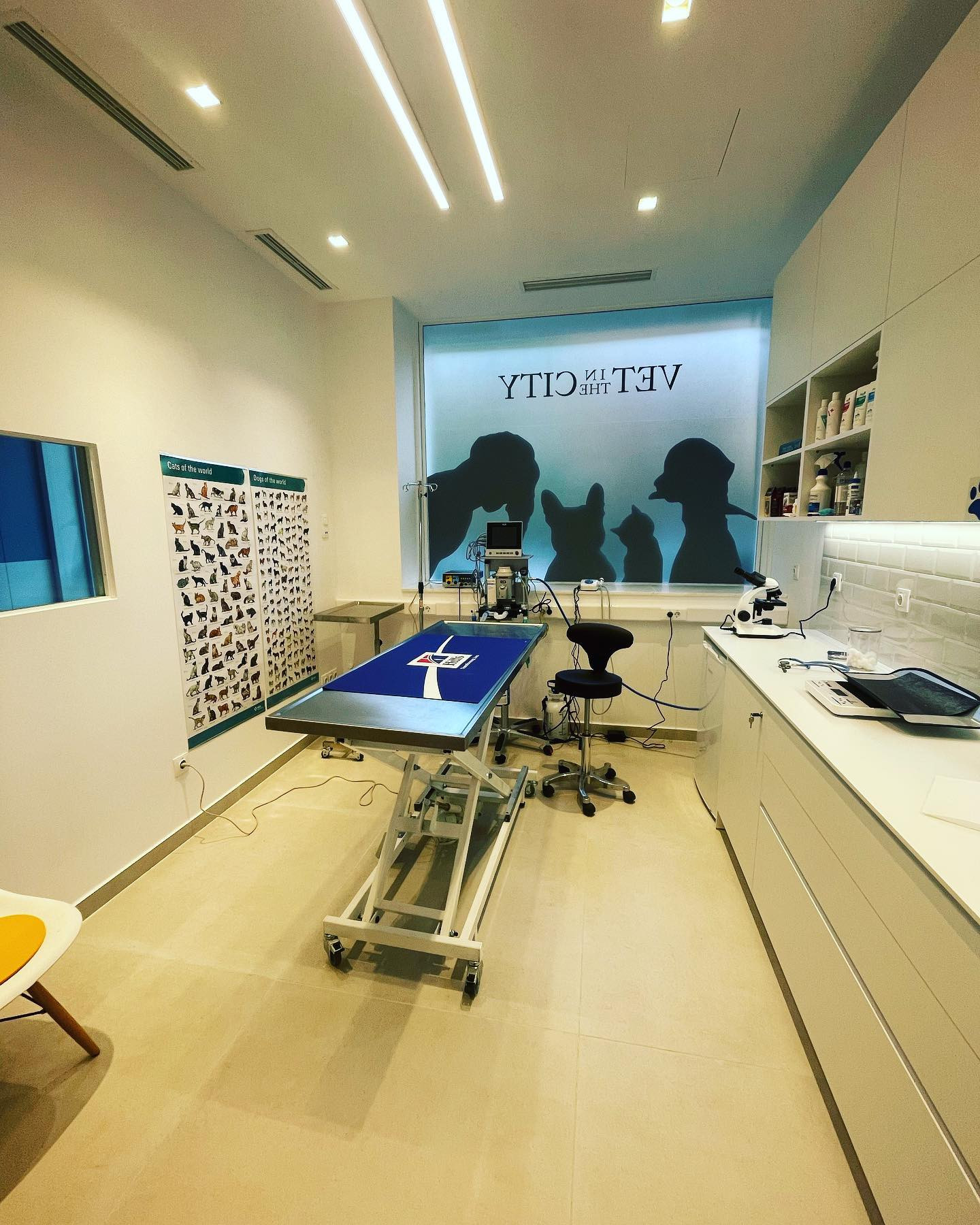 Vet in the city Ουαλά Χανταντίν | Υπολοχαγού Τσόπελα 2, Θεσσαλονίκη 546 21, Ελλάδα