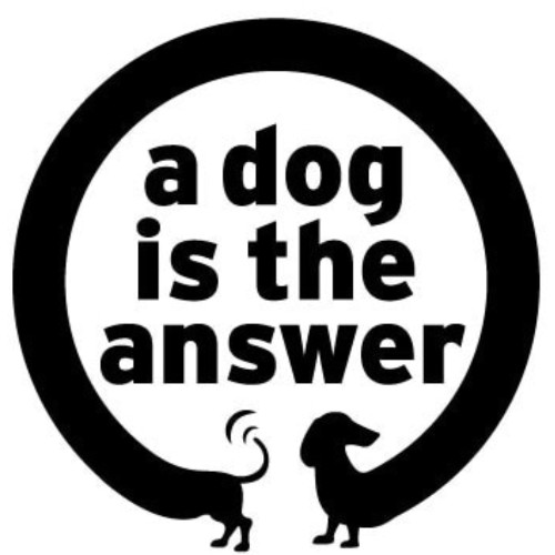 a.dog.is. the.answer