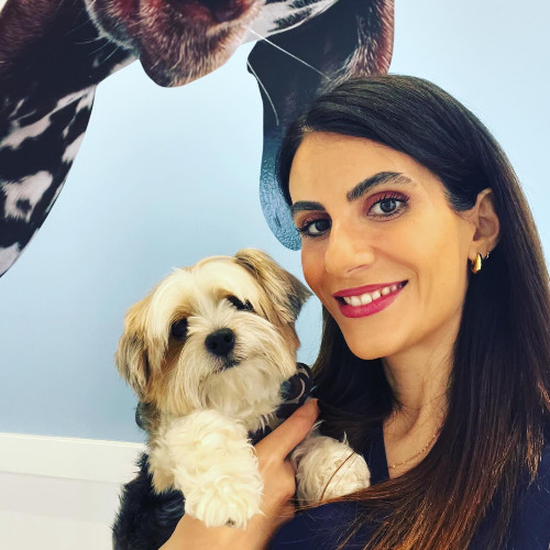 Vet in the city Ουαλά Χανταντίν